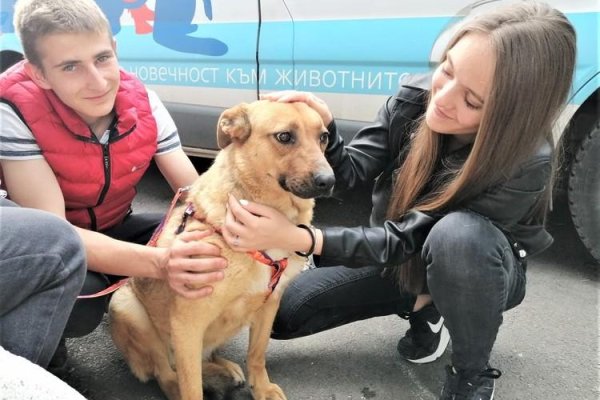 Кракен невозможно зарегистрировать пользователя